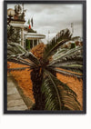 Een ingelijste foto van een palmachtige plant met uitgestrekte bladeren, tegen de achtergrond van een pad en een paviljoen met een bewolkte hemel erboven. Het paviljoen toont wat lijkt op de Italiaanse vlag. De scène is warm verlicht, wat laat in de middag suggereert. Deze prachtige afbeelding maakt deel uit van de collectie van CollageDepot, met name de print **bbb 021 - natuur**.,Zwart-Zonder,Lichtbruin-Zonder,showOne,Zonder
