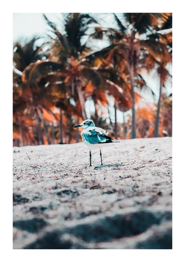 Een zeemeeuw staat op een zandstrand met tropische palmbomen op de achtergrond. De afbeelding toont de vogel op de voorgrond, waarbij de vage palmbomen een warme en natuurlijke achtergrond vormen, perfect voor een CollageDepot Vogeltje Op Het Strand Schilderij dat een serene kustsfeer in uw ruimte brengt.-