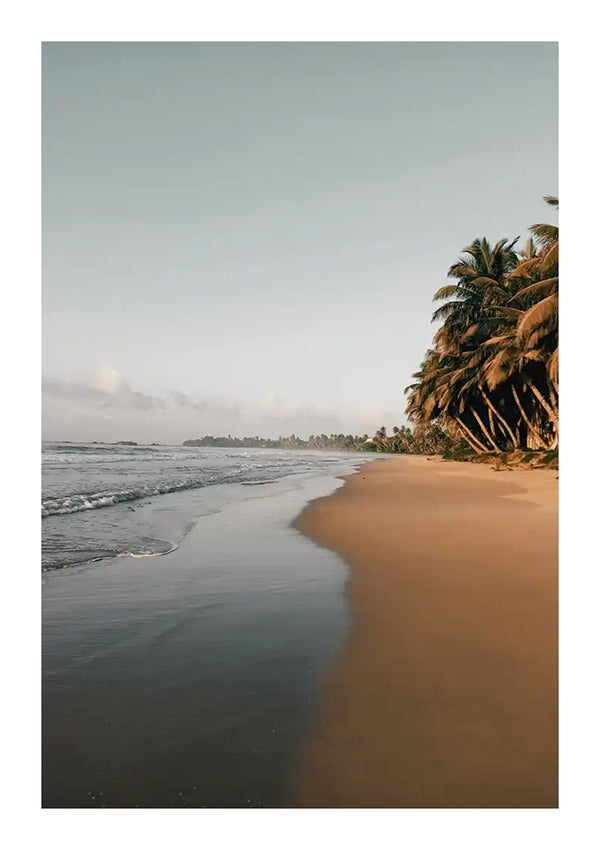 Een rustig strandtafereel met goudkleurig zand en zachte golven. Palmbomen omzomen de kust en voegen tropische charme toe onder een heldere hemel uit de collectie cc 044 - natuur van CollageDepot.-