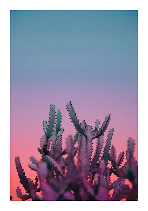 Gesilhouetteerde stekelige plant tegen een levendige hemel met kleurverloop met roze en blauwe tinten tijdens de schemering, met cc 056 - natuur van CollageDepot.-