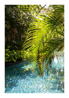 Een sereen buitenzwembad omgeven door weelderig groen met een close-up van een levendig groen palmblad dat uitsteekt over het glinsterende blauwe met mozaïek betegelde water met cc 093 - natuur van CollageDepot.-