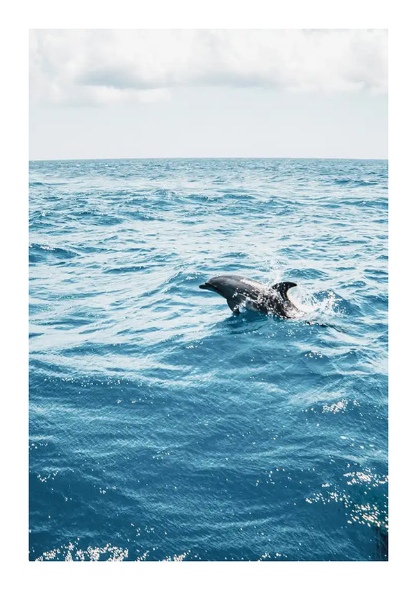 Een enkele dolfijn springt uit de turquoise oceaan op een zonnige dag met een paar wolken aan de hemel. Deze scène, vastgelegd tijdens een sprong, waardoor er spetters in het water ontstaan, zorgt voor een boeiende wanddecoratie. Verbeter de charme door gebruik te maken van een magnetisch ophangsysteem voor eenvoudige weergave en aanpassing met het Springende Dolfijn In De Natuur Schilderij van CollageDepot.-