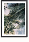 Een Palmboom Bladeren Schilderij van CollageDepot, perfect voor wanddecoratie, toont een uitzicht naar boven kijkend naar hoge palmbomen met groene bladeren tegen een gedeeltelijk bewolkte hemel. De foto wordt begrensd door een zwart frame en witte passe-partout.,Zwart-Met,Lichtbruin-Met,showOne,Met